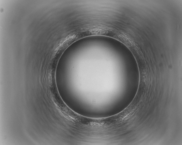 X0000060740690200511171057