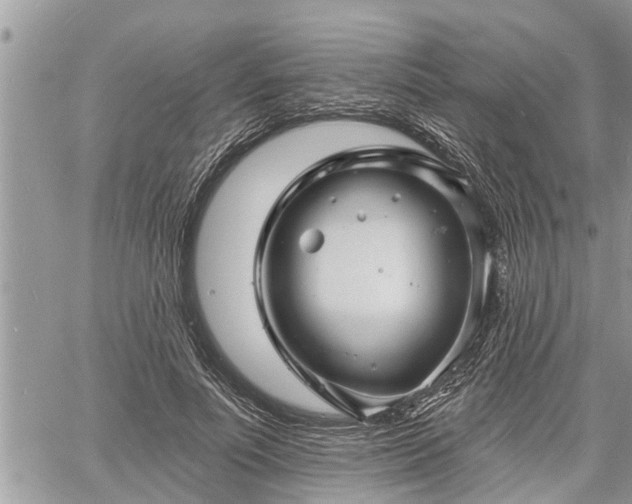 X0000060740691200511171057