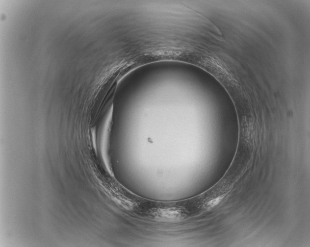 X0000060740692200511171057