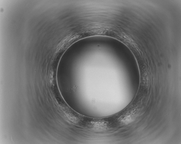 X0000060740693200511171057