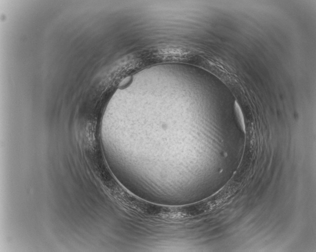 X0000060740695200511171057