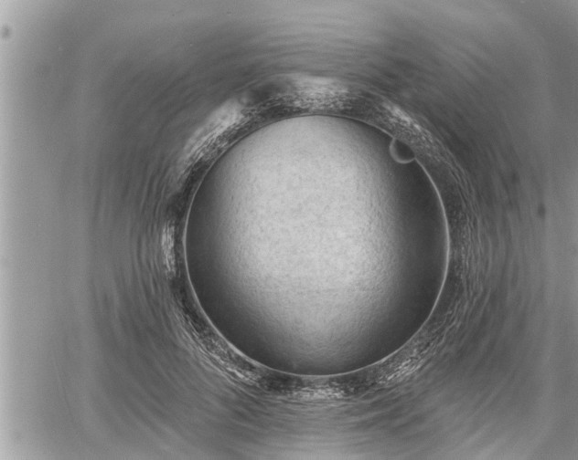 X0000060740696200511171057