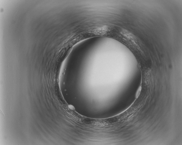 X0000060740697200511171057