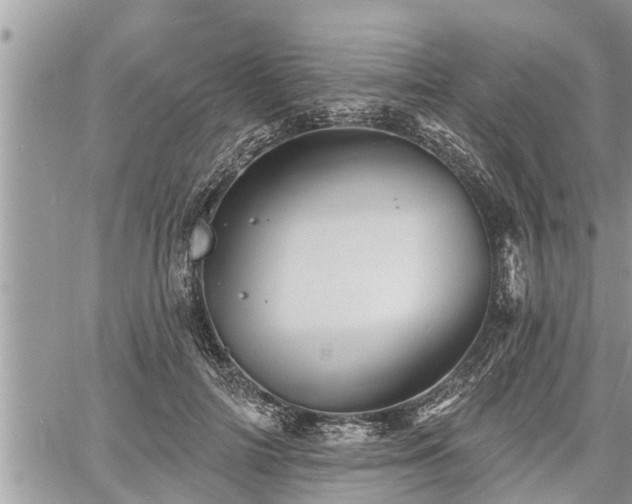 X0000060740698200511171057