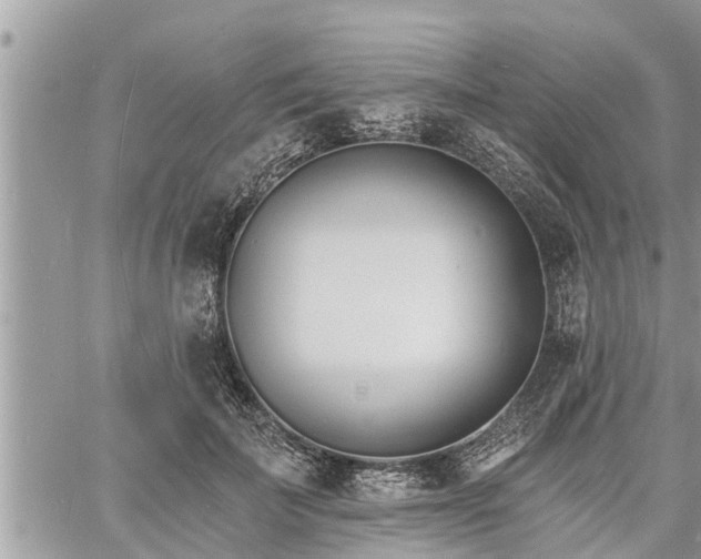 X0000060740699200511171057