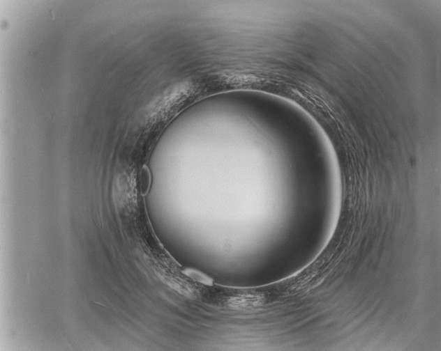 X0000060740700200511171057