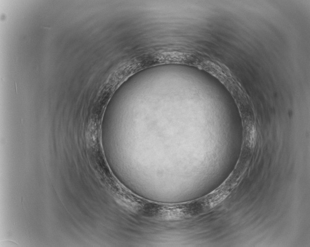 X0000060740701200511171057