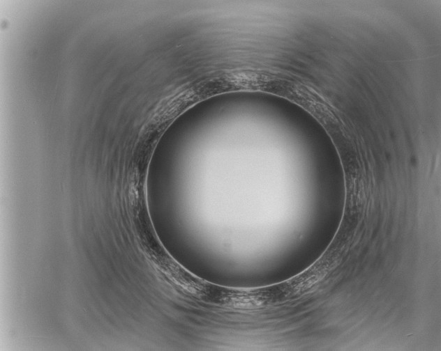 X0000060740702200511171057