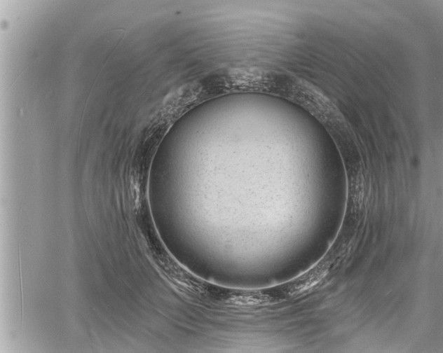 X0000060740703200511171057