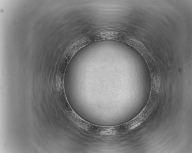 X0000060740705200511171057