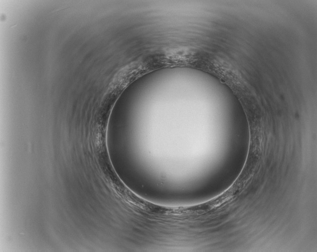 X0000060740706200511171057