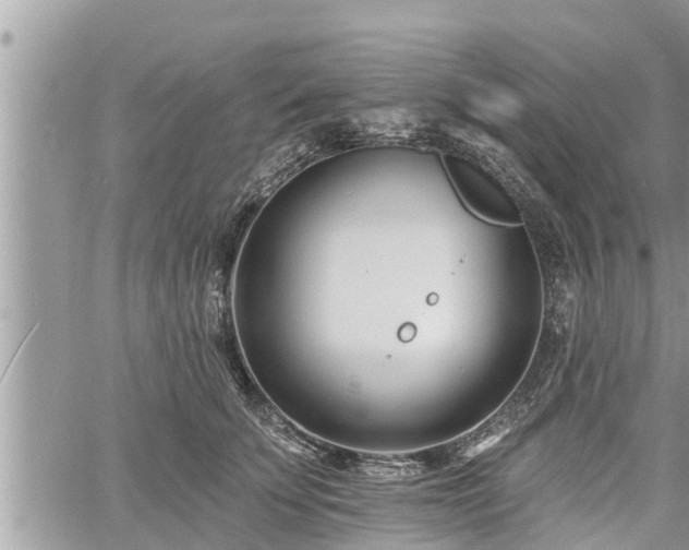 X0000060740707200511171057