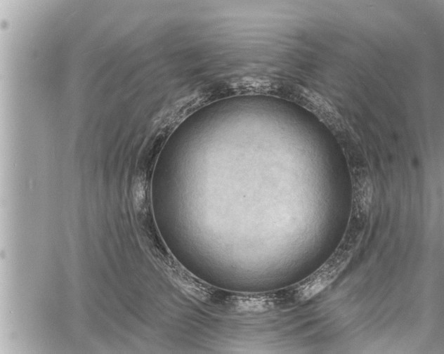 X0000060740709200511171057