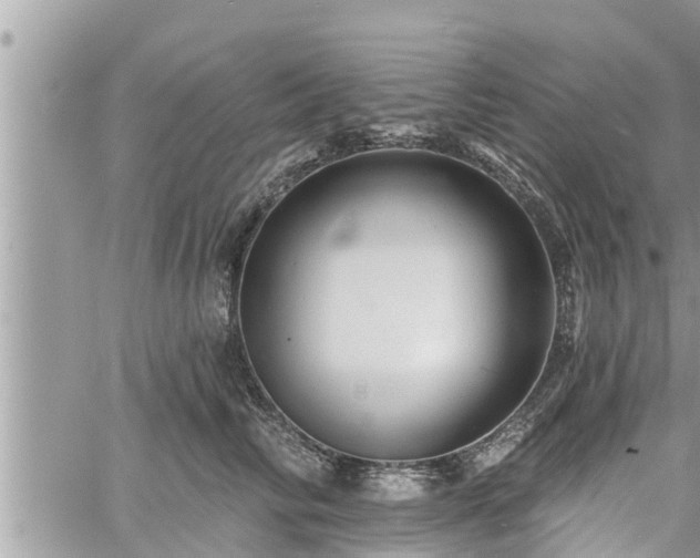 X0000060740710200511171057