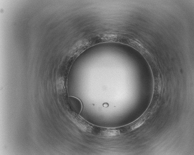 X0000060740711200511171057