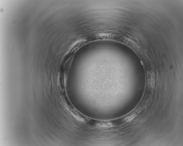 X0000060740712200511171057