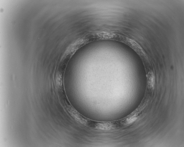 X0000060740713200511171057