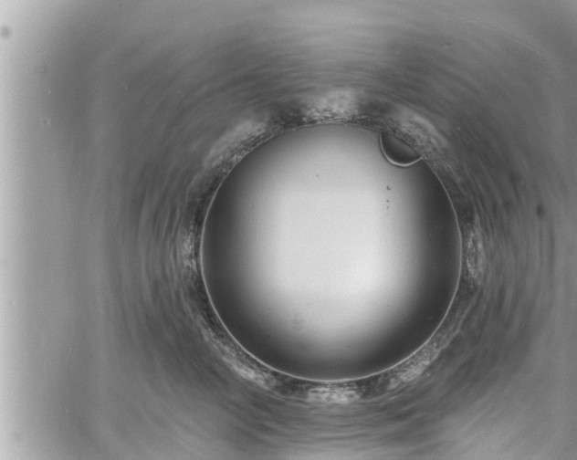 X0000060740714200511171057