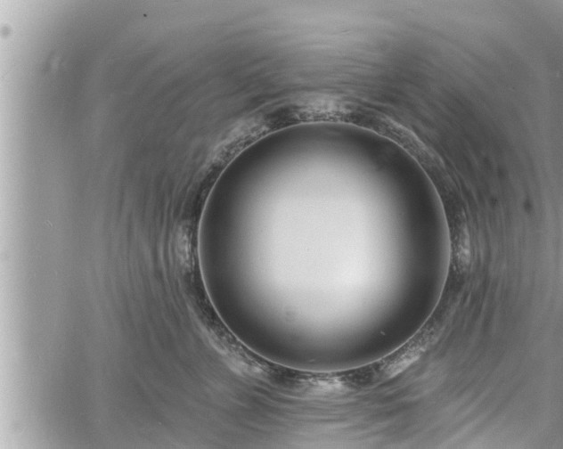 X0000060740715200511171057