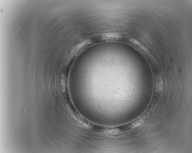 X0000060740716200511171057