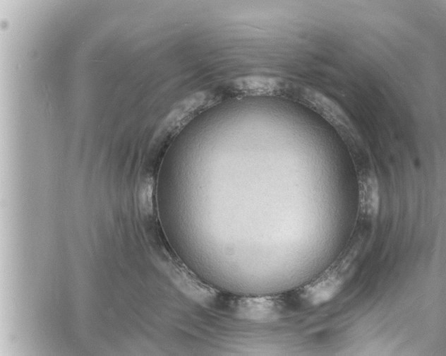 X0000060740717200511171057