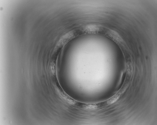 X0000060740718200511171057