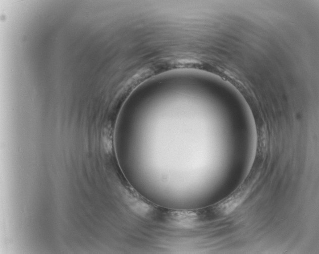 X0000060740719200511171057