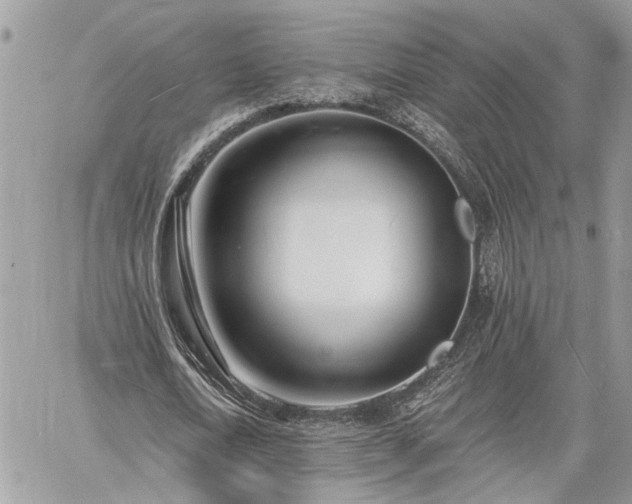 X0000060740722200511171056