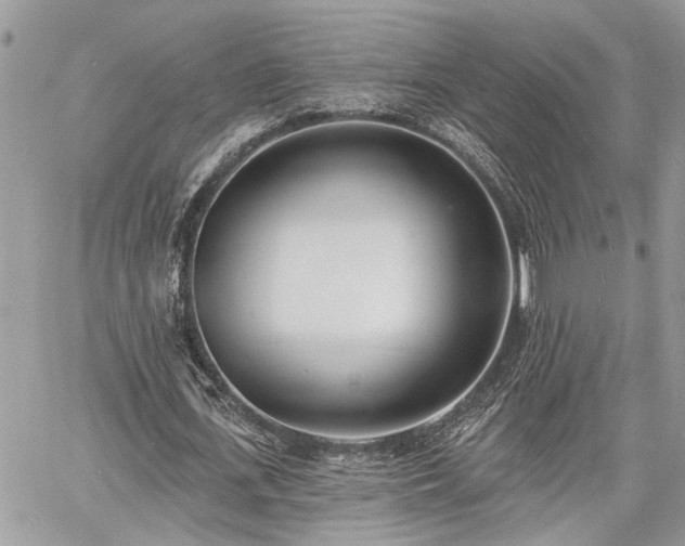 X0000060740723200511171056