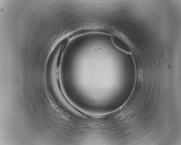 X0000060740724200511171056