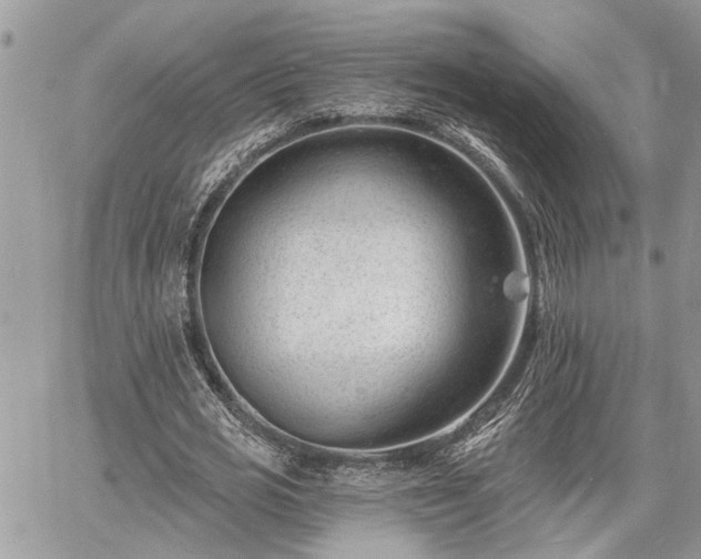 X0000060740725200511171056