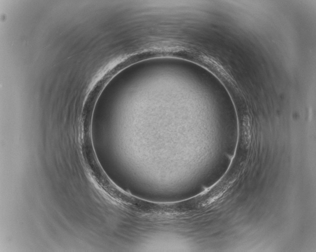 X0000060740726200511171056