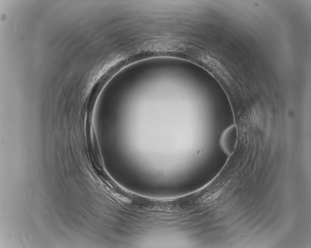 X0000060740727200511171056