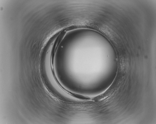 X0000060740728200511171056