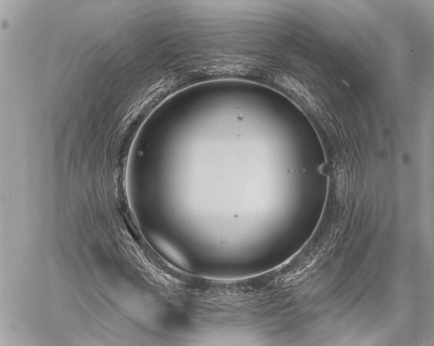 X0000060740729200511171056