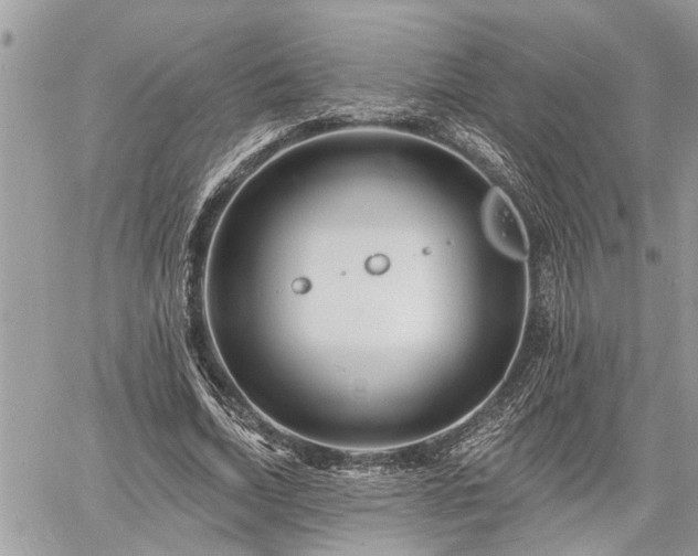 X0000060740730200511171056