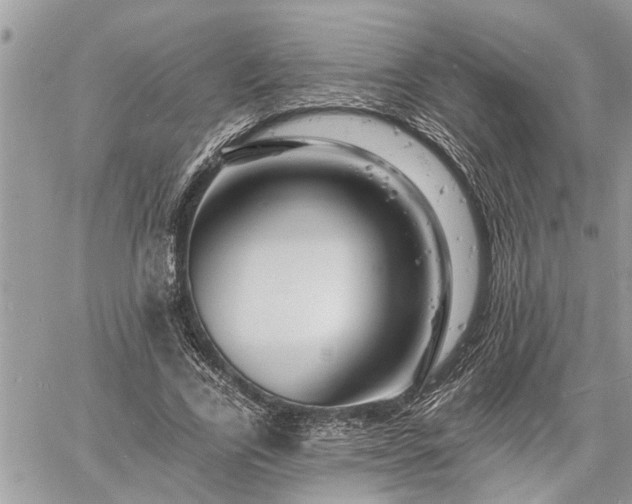 X0000060740731200511171056