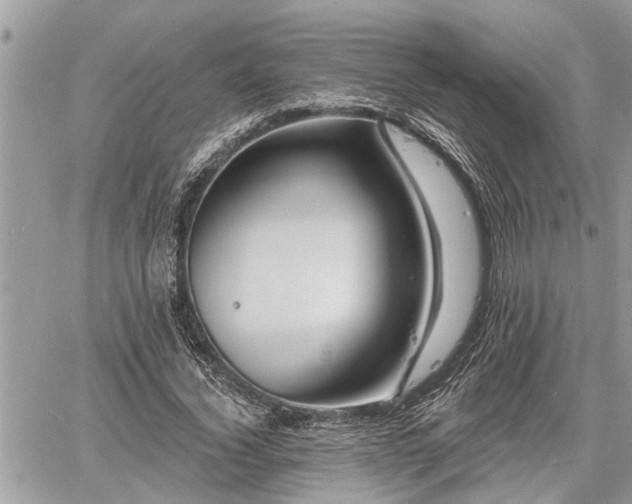 X0000060740732200511171056