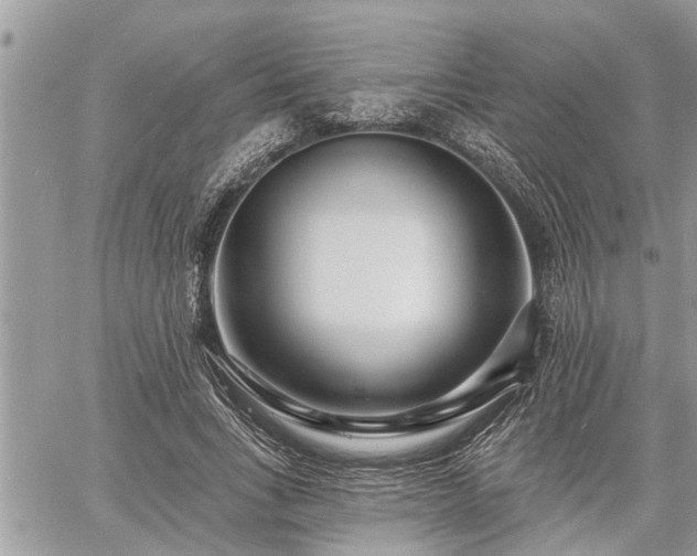 X0000060740735200511171056