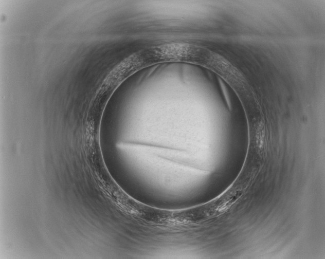 X0000060740737200511171056