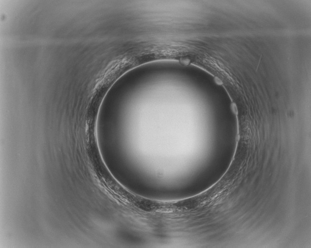 X0000060740738200511171056