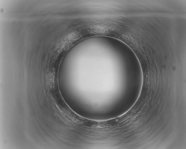 X0000060740739200511171056