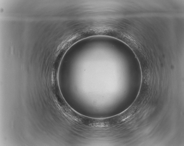 X0000060740740200511171056