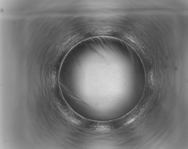 X0000060740741200511171056