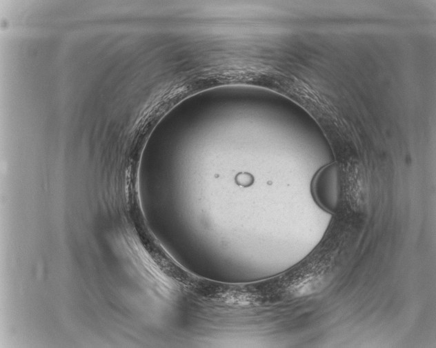 X0000060740742200511171056