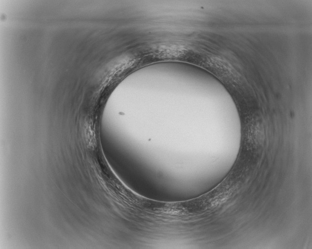 X0000060740743200511171057