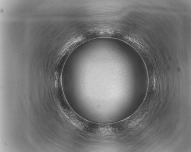 X0000060740744200511171057