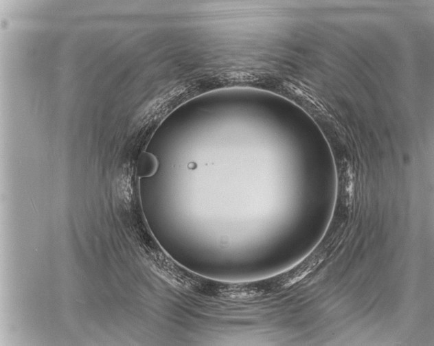 X0000060740746200511171057