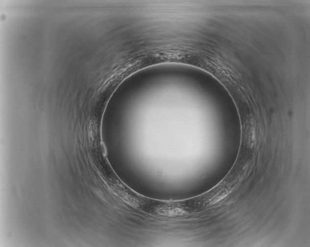 X0000060740747200511171057