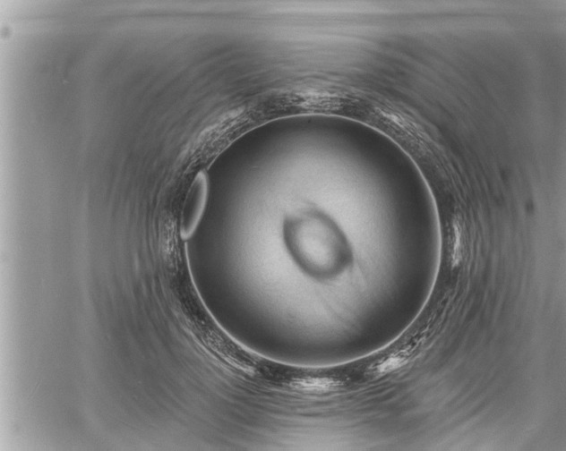 X0000060740748200511171057